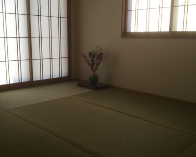 い草の畳(カビが入る前)