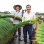 い草農家と佐野畳屋の畳職人