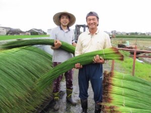 い草農家と佐野畳屋の畳職人