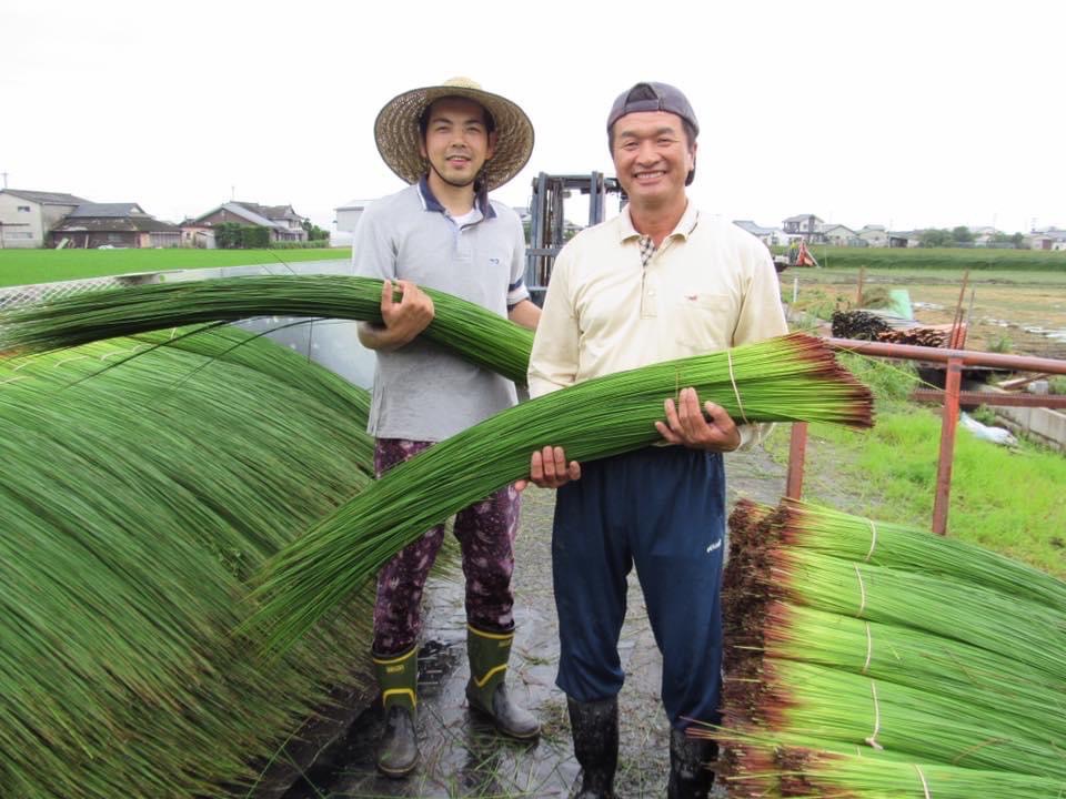 い草農家と佐野畳屋の畳職人