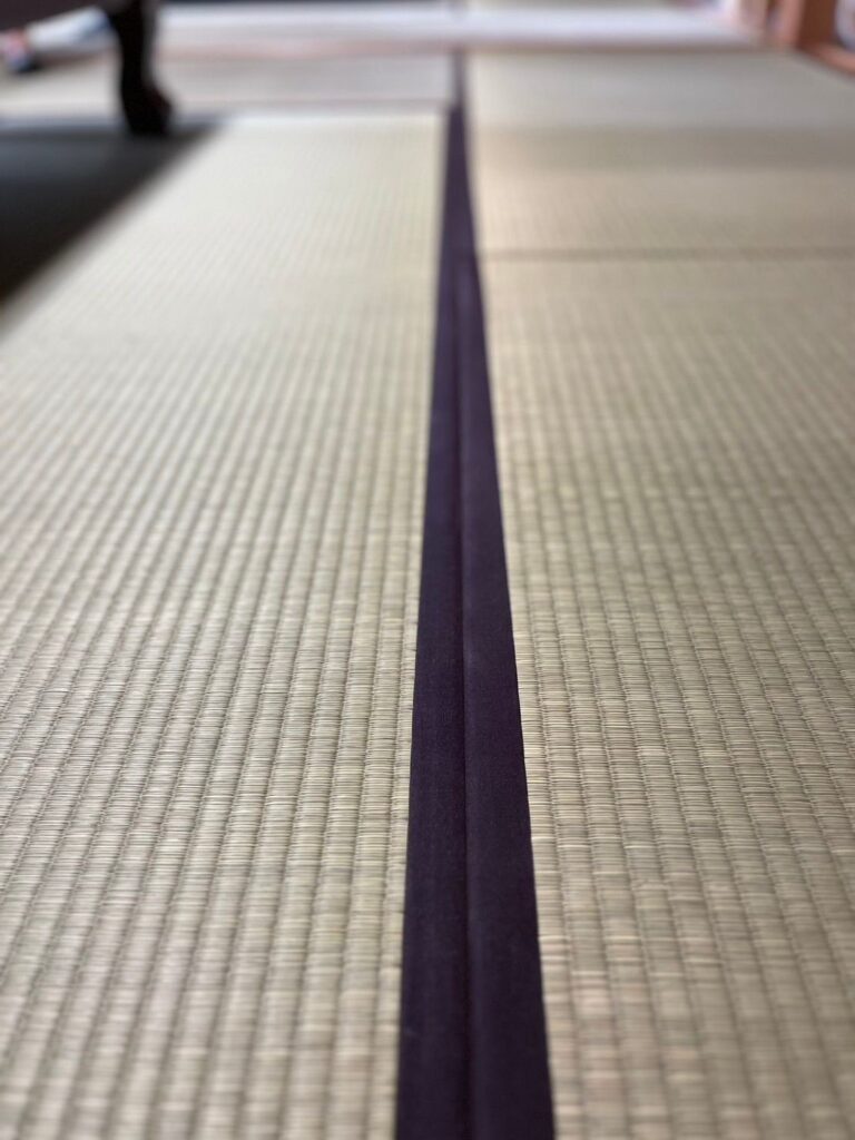 国産い草と紺色無地の畳縁