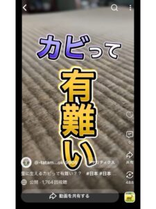 畳のカビが生える要因の動画への案内