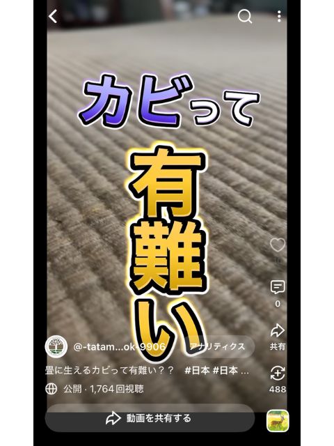 畳のカビが生える要因の動画への案内