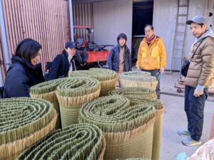 無染土い草の畳表を実際に体感する